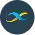 Icon crypto